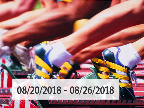 Para European Athletics Championships